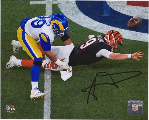 Foto sacco aaron donald - foto,