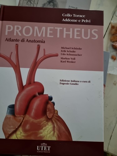 Libri usati medicina - libri,