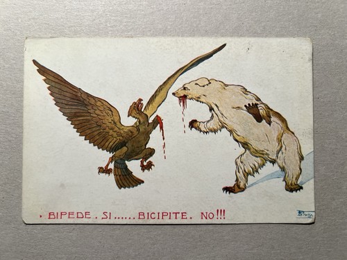 Prima guerra mondiale - guerra,
