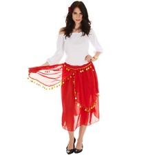 Costume zingaro donna