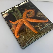 Invertebrati n. 11 - Il mondo