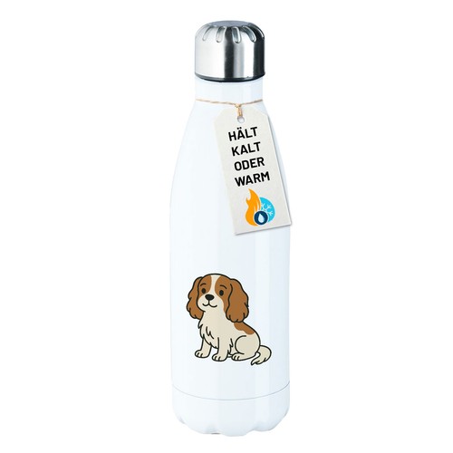 Borraccia acciaio inox - borraccia,