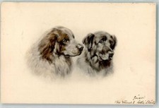 39529668 - Kangal Vienne 1905