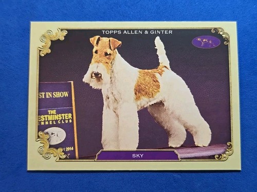 2024 sky topps allen ginter - 2024,