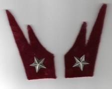 COPPIA DI MOSTRINE REGIO