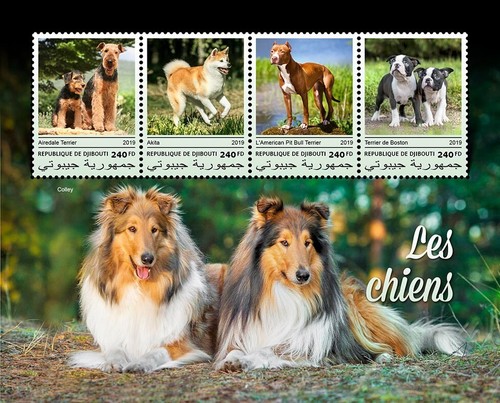 Dogs airedale terrier akita - airedale,