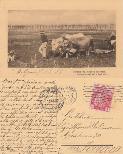 1915 cartolina con pro croce - 1915,