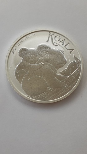Oncia 2023 koala - oncia, oz