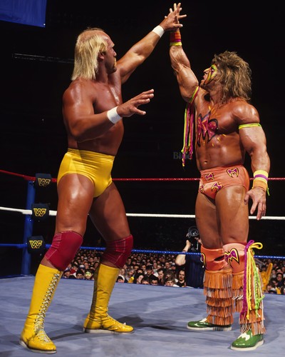 Hulk hogan the ultimate - the,