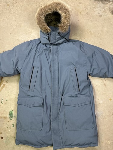 Snow goose canada - snow,