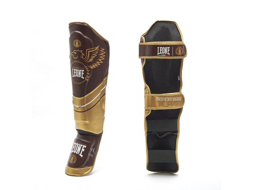 Leone paratibie kick - leone, boxing