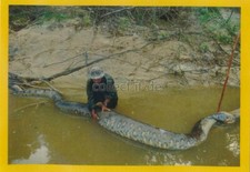 Panini National Geographic -