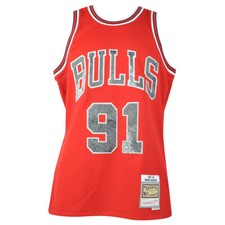 Nba chicago bulls - chicago, dennis