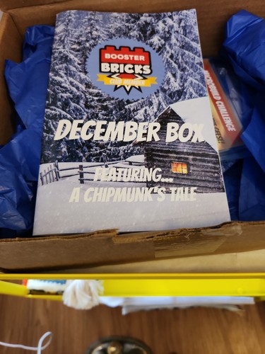 Booster bricks club - booster,