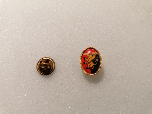 Distintivo pins spilla badge