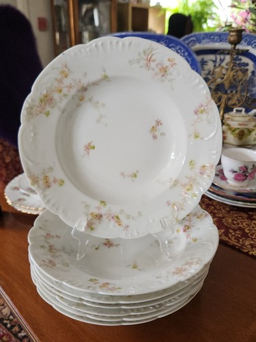 Theodore haviland limoges - ,