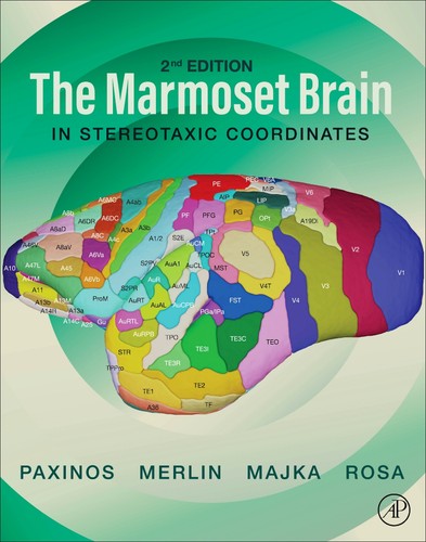 The marmoset brain - the, in