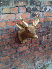 Testa di cervo da parete 49 cm