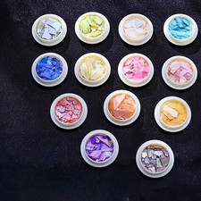 Fai da Te Conchiglia Pezzi