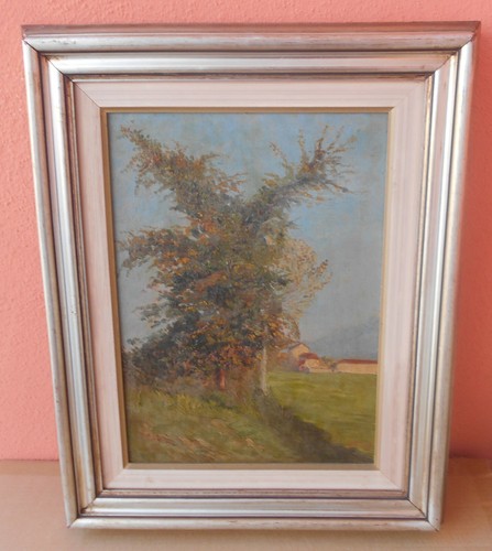 Quadro dipinto olio firmato - quadro,
