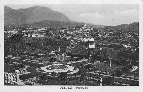Cartolina postcard feltre - -,