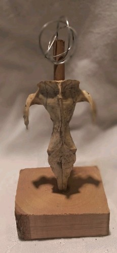 Stand thee verticale - stand,