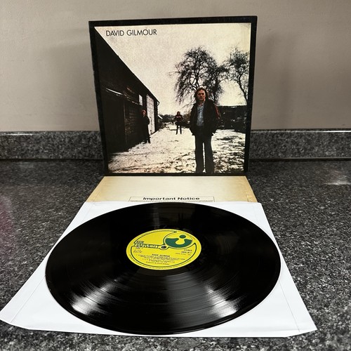 Vinyl david gilmour - vinyl,