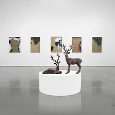 Espositore bianco espositore