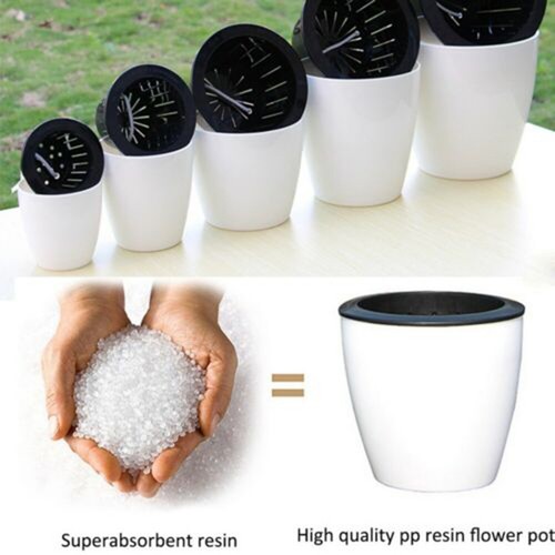 Innovativo vaso per piante