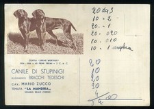 STUPINIGI (Torino) - CANILE DI STUPINIGI Tenuta "LA MANDRIA"