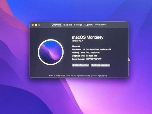 Mac mini 8gb - 8gb, ram