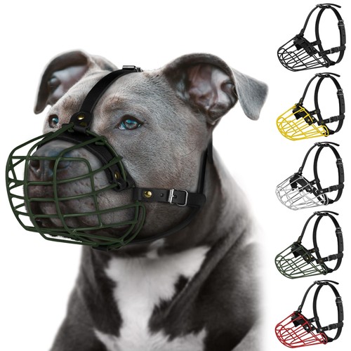 Pitbull museruola per cani - pitbull,