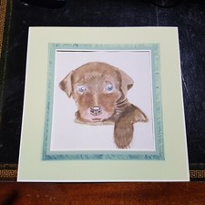 Acquarello inglese Vintage anni '50 cucciolo di Labrador