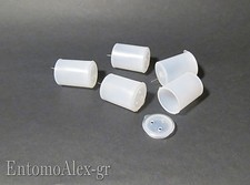 x1 x5 x10 Cilindretti per canfora naftalina per scatole entomologiche con spillo