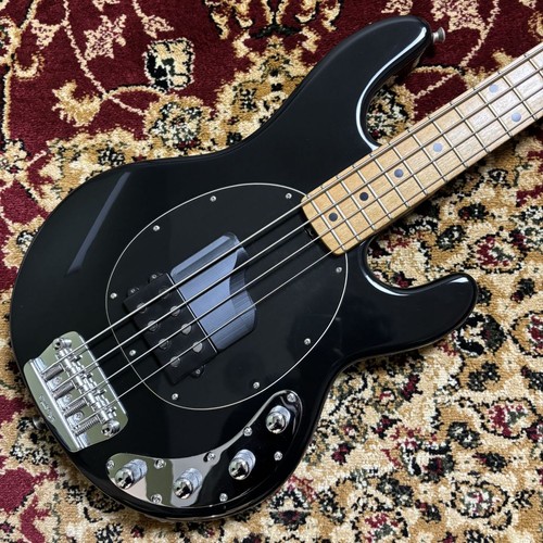 Music man stingray 3eq basso - music,
