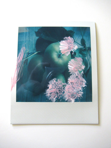 Araki polaroid originale - araki:,