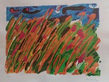 Schifano serigrafia? Cm. 50 X 70