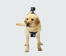 Imbracatura per cani - per,