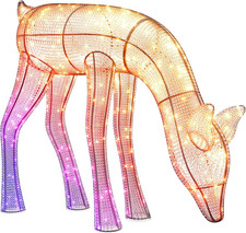 Reindeers doe renna luminosa - reindeers, doe,