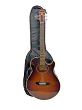 Chitarra elettrica acustica