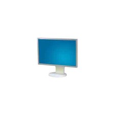 Monitor 22" TFT LCD NEC