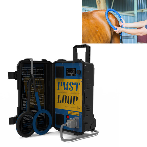 Equine pemf magneto - pemf,