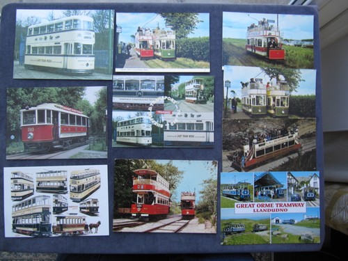 Postcards trams seaton - of, trams,