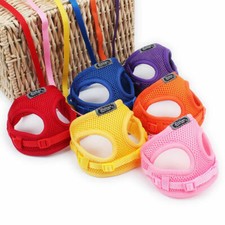 Set Piombo Imbracatura Cani Piccoli Rete Tazza da Tè Cucciolo Chihuahua Coniglio Gatto Giocattoli Dh
