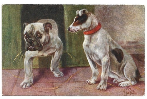 Antica cartolina animali cane - animali:,