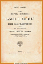 SULLA STRUTTURA E