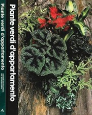 Piante verdi d'appartamento. 