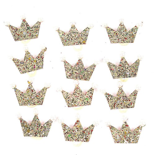 Pcs accessori cane piccola - ,