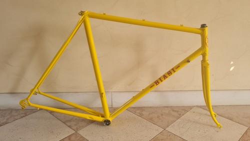 Telaio bici acciaio vintage