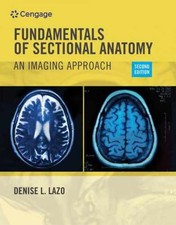 Fundamentals of Sectional